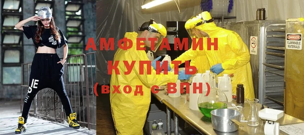 трава Белокуриха